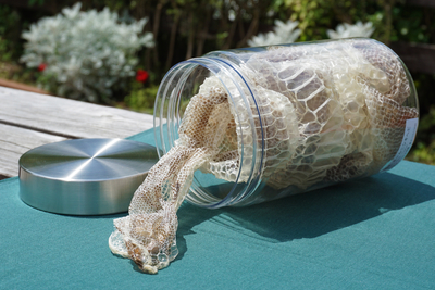 カリフォルニアキングヘビ（アルビノ）のぬけがら | 生物園オンライン